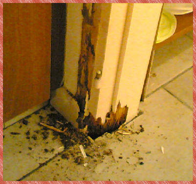damage